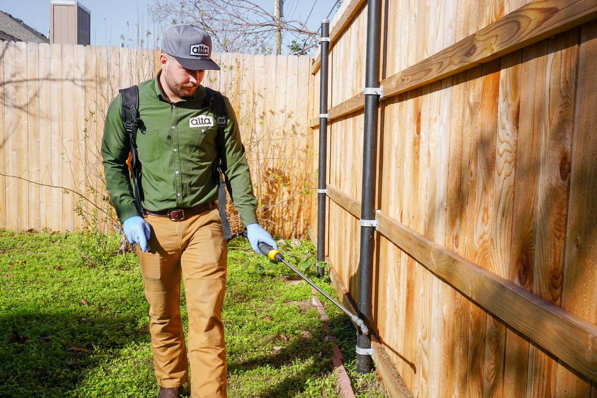 Residential Pest Control Services | Alta Pest Control - Alta Pest Control Grand Prairie Reviews